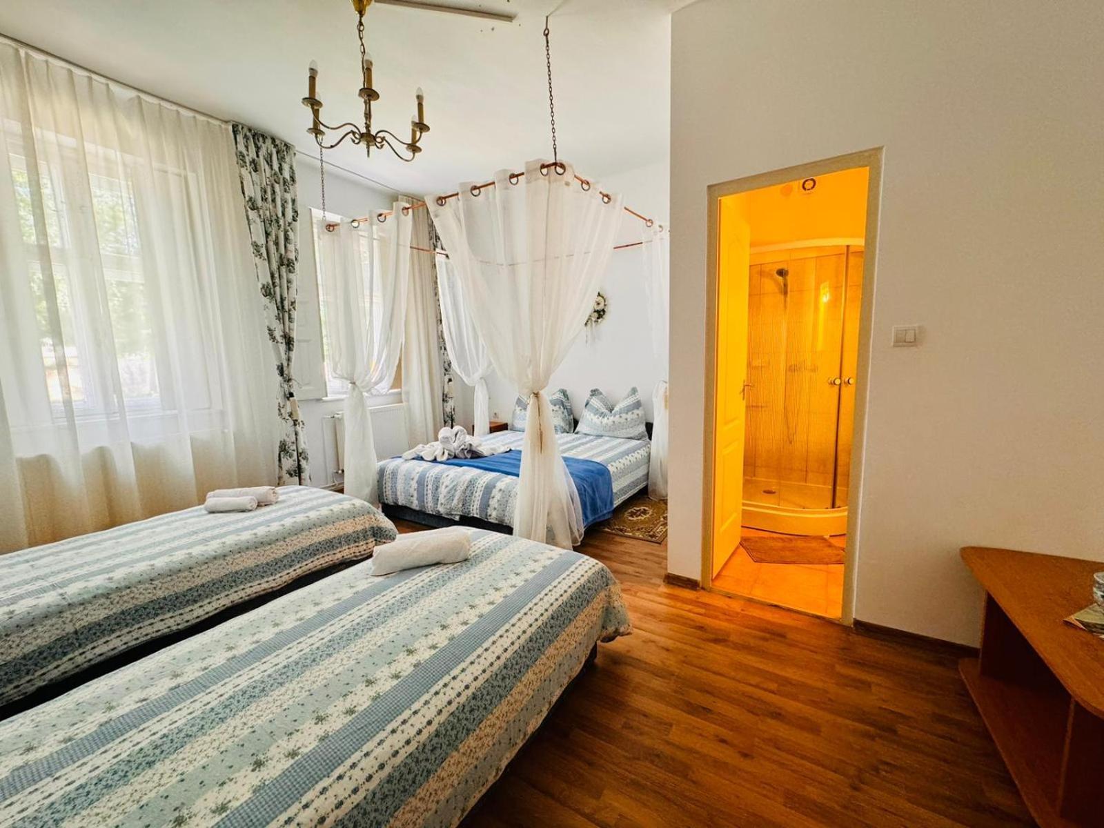 Hotel Pensiunea Schwartzy à Makó Extérieur photo