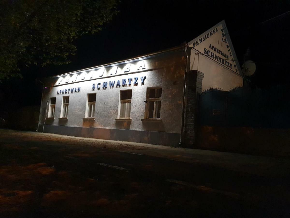 Hotel Pensiunea Schwartzy à Makó Extérieur photo
